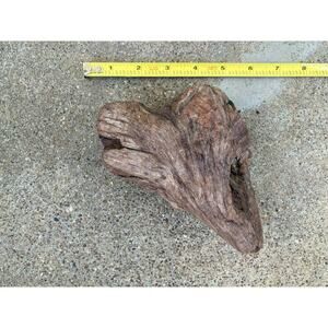 Ohio River Driftwood 6.5"x5"x3"